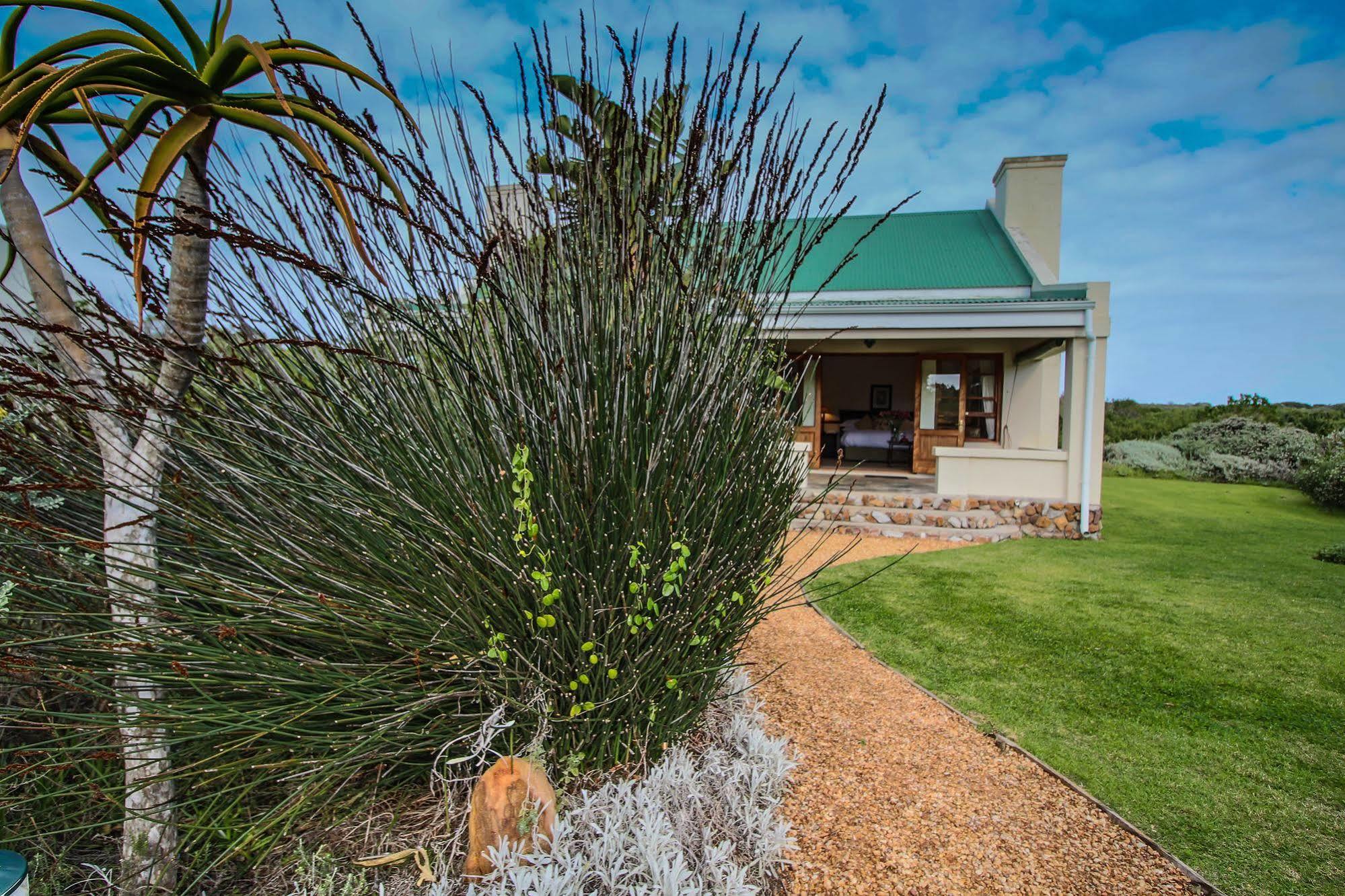Dune Ridge Country House St Francis Bay Exterior foto